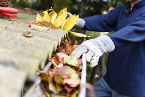 Monroe gutter cleaning, Monroe NJ homeowner cleaning leaves out of gutter